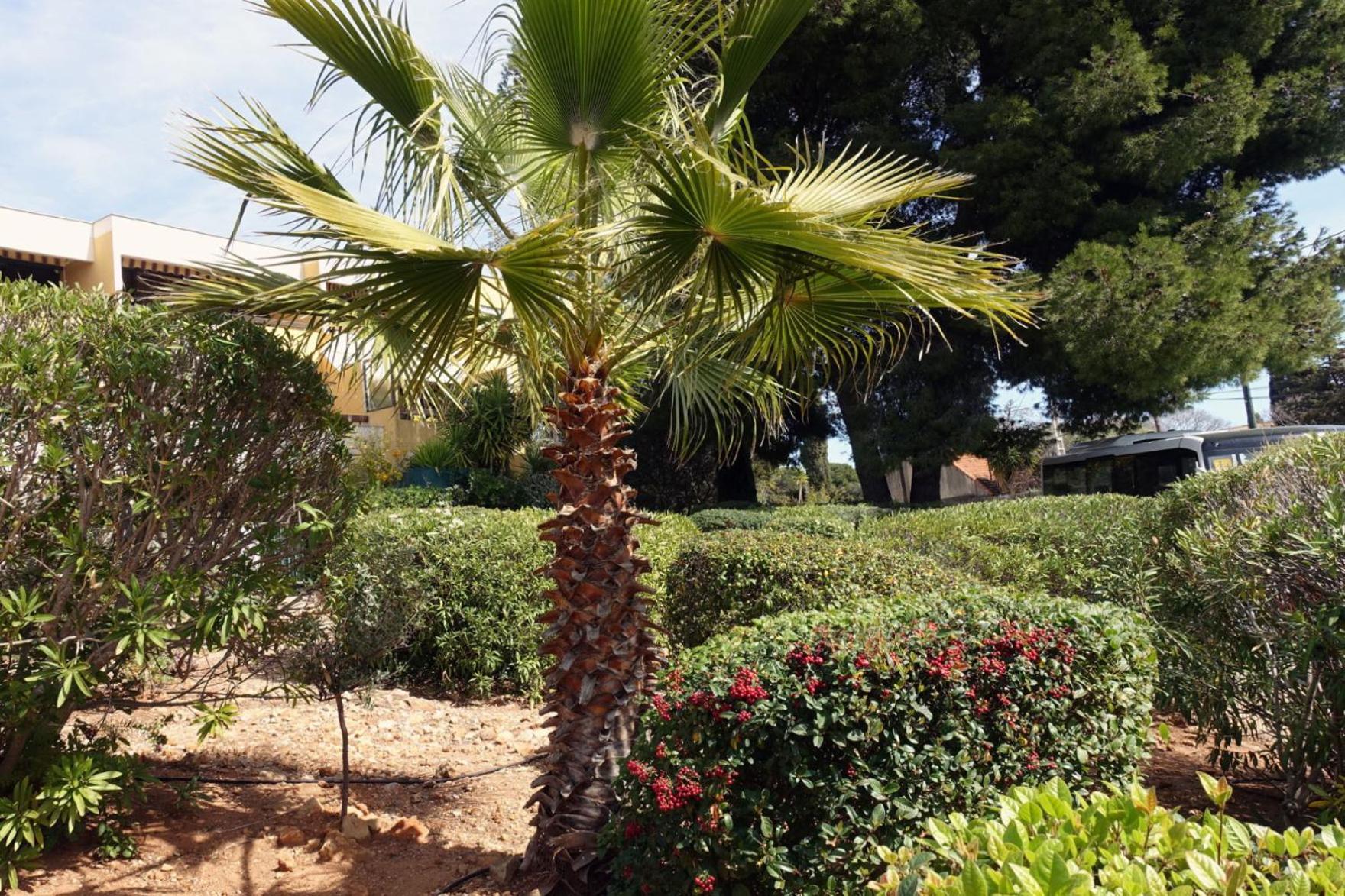 Les Jardins De Bandol, Piscine Privee, Belle Vue Apartment