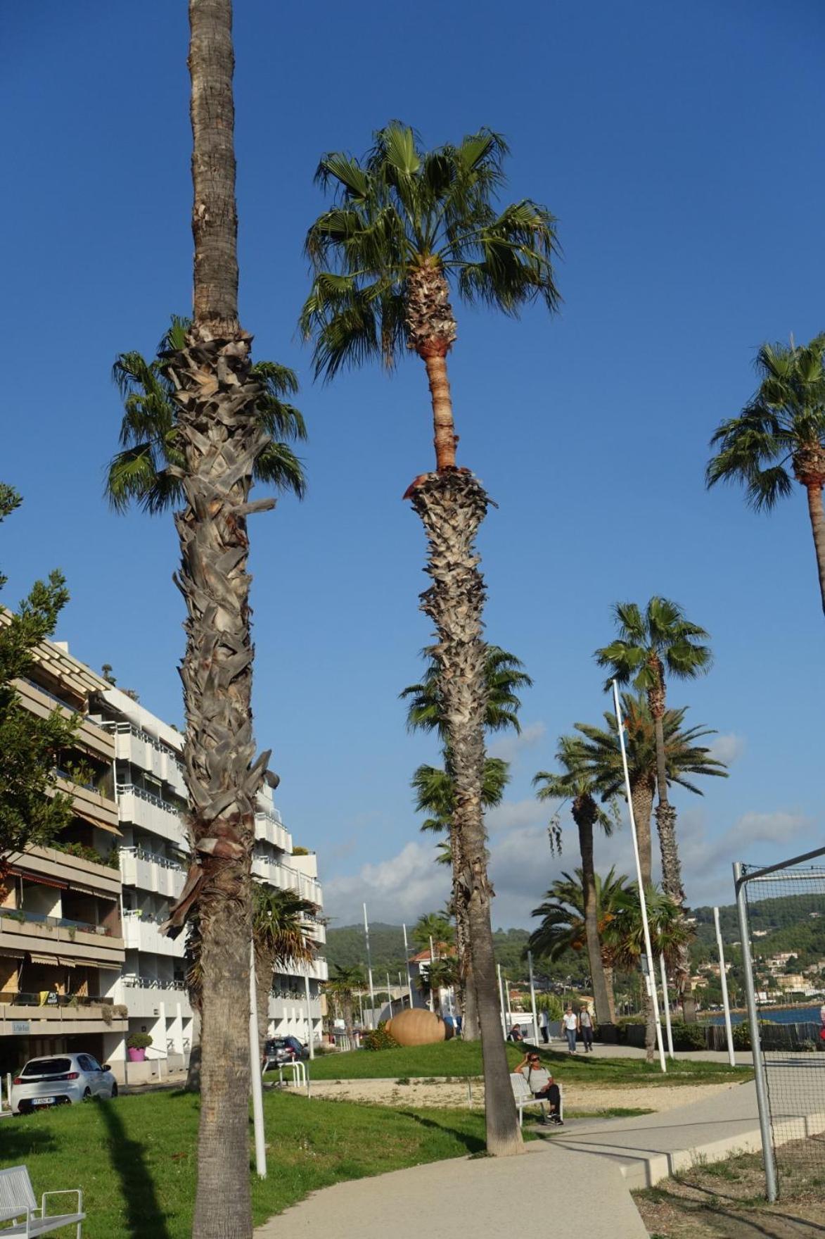 Les Jardins De Bandol, Piscine Privee, Belle Vue * Bandol