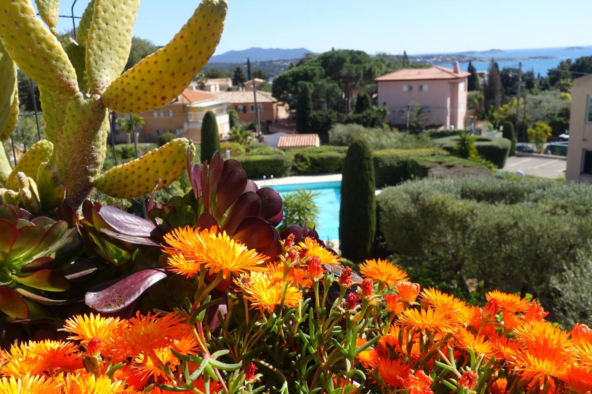 Les Jardins De Bandol, Piscine Privee, Belle Vue